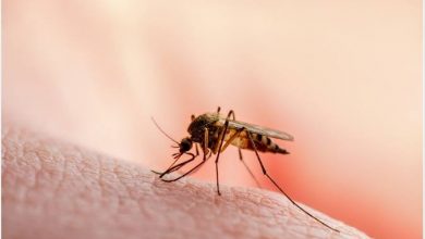 Oyo moves to end malaria scourge 3 malaria scourge in oyo