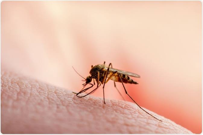 malaria scourge in oyo