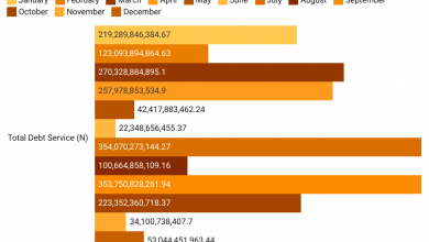 FG's debt servicing gulps N2.05trn in 2021, says DMO, total borrowing stands at N41.026trn 7 8UDmF total debt service n
