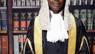 Ebun Adegboruwa's juvenile hysteria and emotionalism, By Ayo Oluwole Peters 1 Adegboruwa