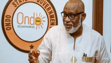 Herdsmen attack 77-year old farmer in Ondo with machete for refusing money request 9 Akeredolu