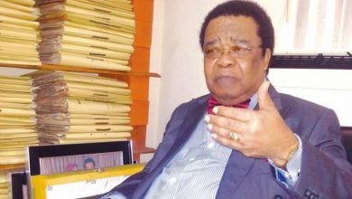 Nigeria should align with Tukey on UN overhaul, join new world order - Prof Akinyemi 3 Bolaji Akinyemi