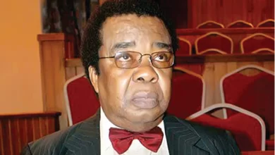 On planning for a new world order, By Prof Bolaji Akinyemi 5 Bolaji Akinyemi