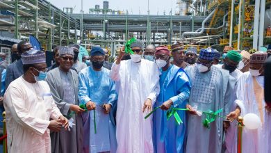 Nigeria to stop importation of agric products soon - Buhari 6 Buhari Dangote