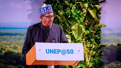 Tackle desertification problem in Nigeria, Buhari directs key MDAs 9 Buhari in Kenya
