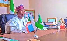 Politics, parties and development, By Segun Ayobolu 4 Buni APC