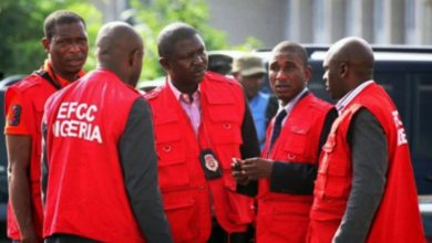 EFCC Men 990x556 1