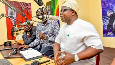 Ekiti to gift 90,000 cashew seedling to farmers 5 Ekiti farm