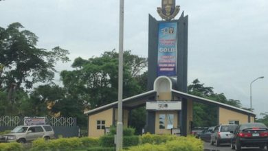 Ife indigenes invade OAU campus over VC’s appointment, beat up students, lock gates 1 OAU
