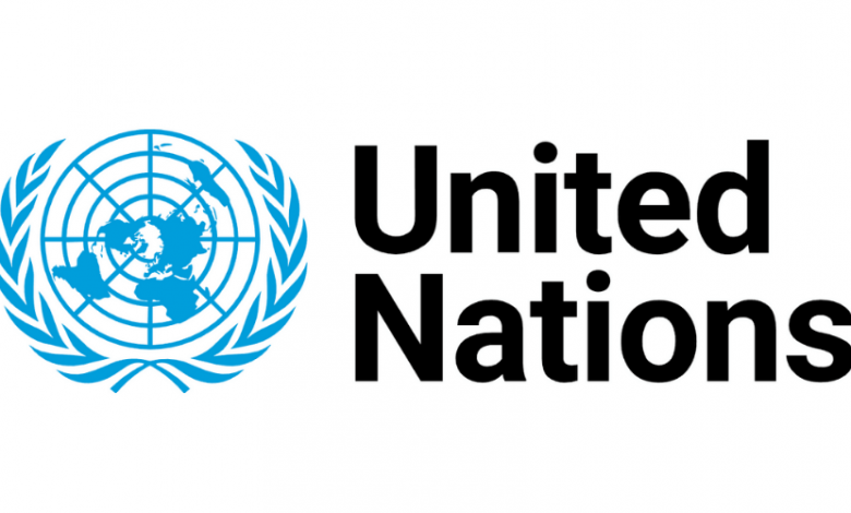 UNDP launches $1.1bn flash appeal fund to help 6 million Ukrainians 1 UN
