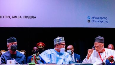 Battle of ego between governors, predecessors tearing APC apart – National Chairman 16 APC NEC4