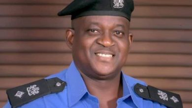 IGP confirms Adejobi as substantive PPRO 7 Adejobi