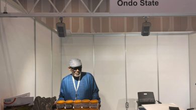 Akeredolu Dubai