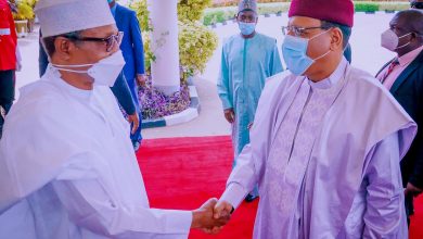 PHOTO NEWS: President Buhari receives visiting Niger President in Abuja 3 Buhari Niger President3