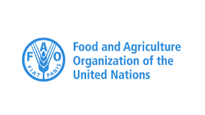 FAO: Global food prices makes highest level ever leap in March 1 FAO