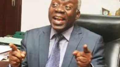 Why Nigeria must join BRICS, By Femi Falana 3 Falana