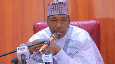 Governor Zulum