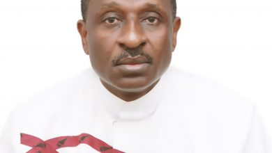 Overcoming the crisis of Nigeria’s future:The group mind synthesis, By George Anyiam-Osigwe 1 IMG 20220412 WA0001