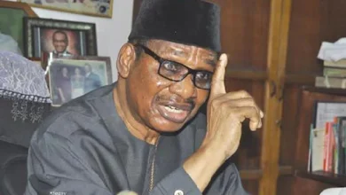 Sagay faults USA’s report on corruption in Nigeria 2 Prof Itse Sagay