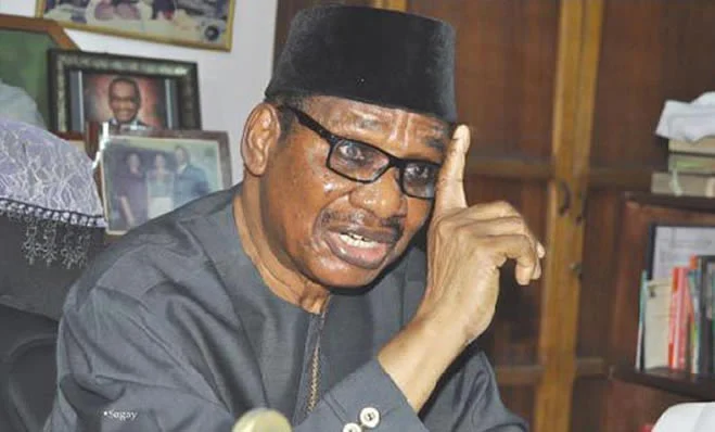 Prof Itse Sagay