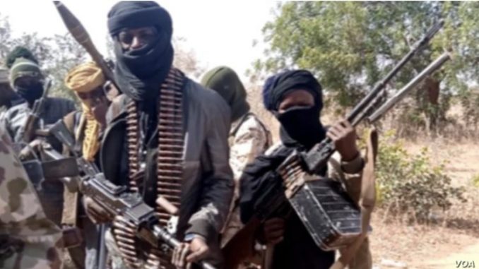 Terror kingpin, Boderi killed, 244 arrested 1 Terrorists