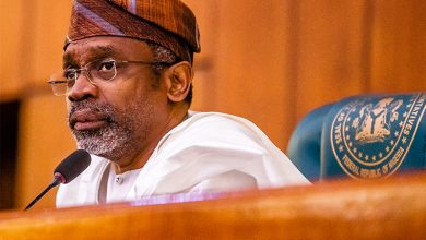 Gbajabiamila, Seriki, Danmole join senatorial race to replace Sen Tinubu 8 gallery17