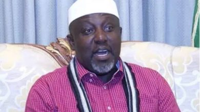 Anyone saying Buhari has endorsed him for president is lying - Okorocha 11 images 40