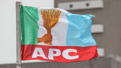 APC flag 1