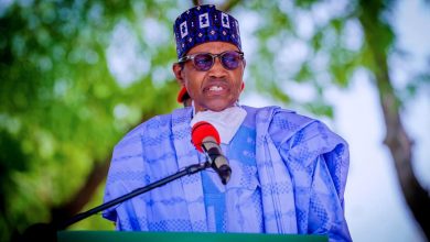 APC primaries and PMB's legacy, By Segun Ayobolu 1 Buhari1