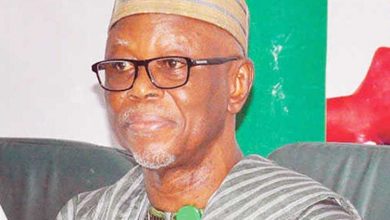 ADC appoints Odigie-Oyegun, Utomi to lead 50-man policy and manifesto committee 3 Odigie Oyegun 1