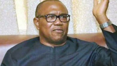 Presidency 2023: Peter Obi set to run as Kwankwaso’s running mate on NNPP platform 12 Peter Obi 2