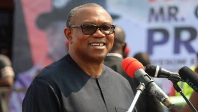 The Igbo, Peter Obi and 2023, By Segun Ayobolu 6 Peter Obi 3