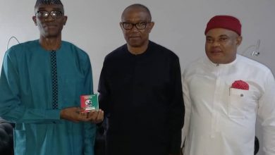 Peter Obi announces Labour Party move 5 Peter Obi LP e1653672283422