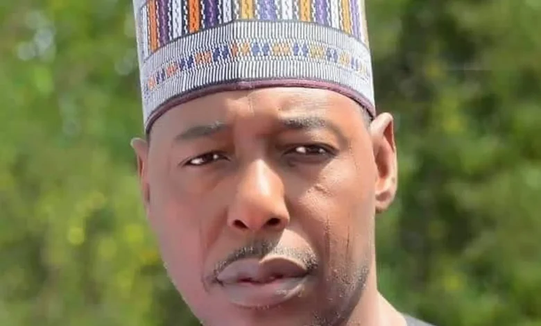 Zulum’s aide confirms killing of 32, says victims not farmers 1 Zulum