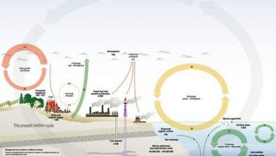 images 26
