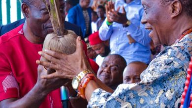 Soludo mobilises Anambra farmers for 2022 farming season 7 IMG 20220616 WA0000