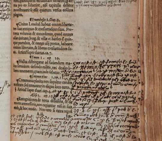 UK celebrates 807 years since signing of Magna Carta 3 IMG 20220616 WA0001