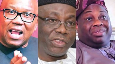 Presidential primaries: The true lies about delegates, Bamidele Johnson 3 PhotoGrid Plus 1654093827264