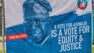 CONVENTION UPDATE: Tinubu’s media office alerts delegates on fake text message 10 Seyi Tinubu4