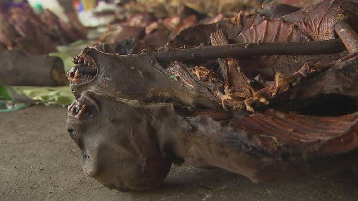 PUBLIC HEALTH ALERT: Stop buying, selling bushmeat, FG tells Nigerians 1 images 14