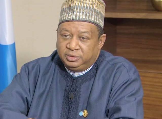 Barkindo lauds multilateral declaration of cooperation between OPEC, non-OPEC producers 1 images 27