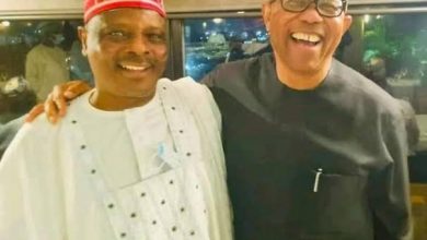 Kwankwaso confirms merger talks with Peter Obi, Labour Party 10 images 42