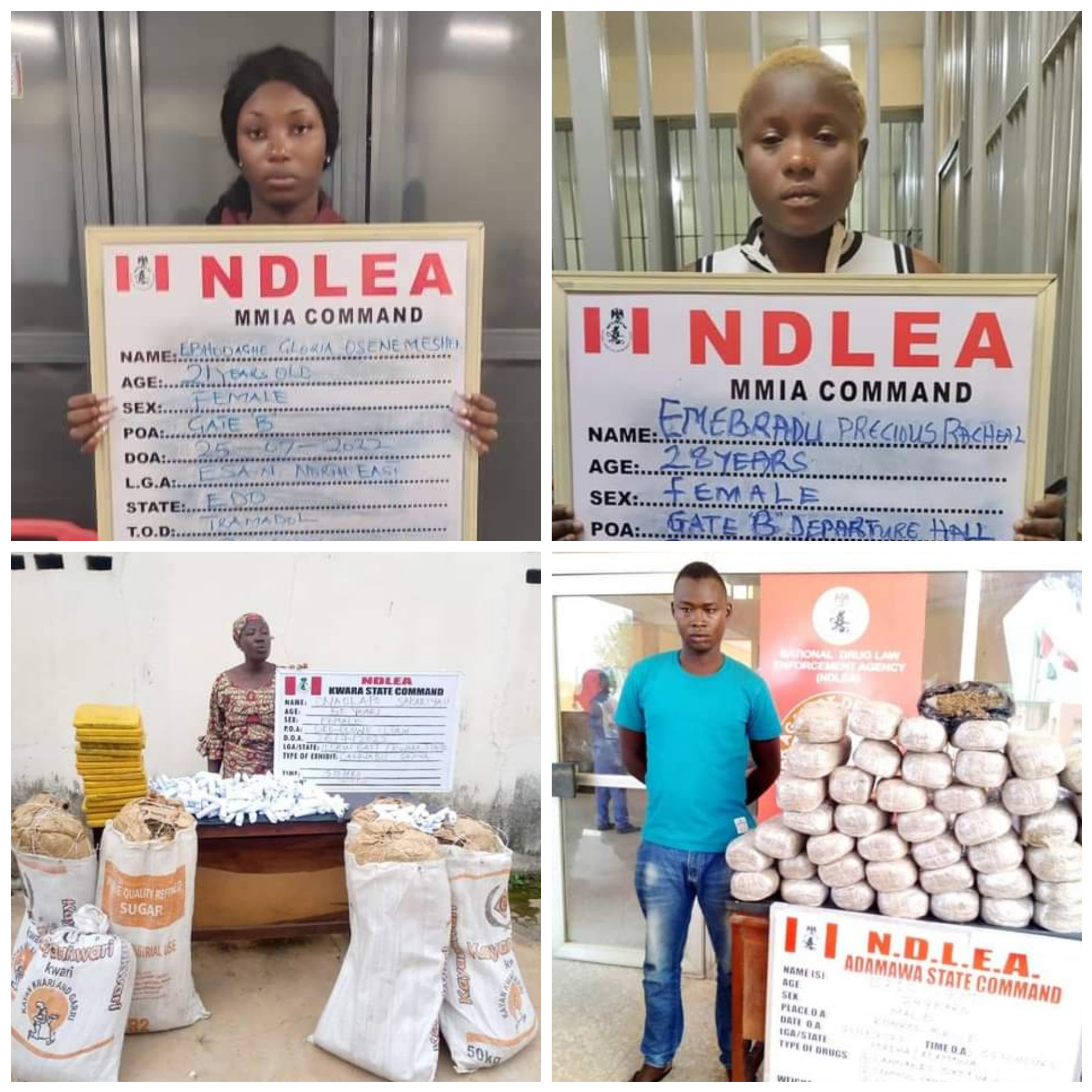 NDLEA intercepts 2.7m Tramadol tabs worth N1.3bn in Lagos 8 62e67cf9a1788