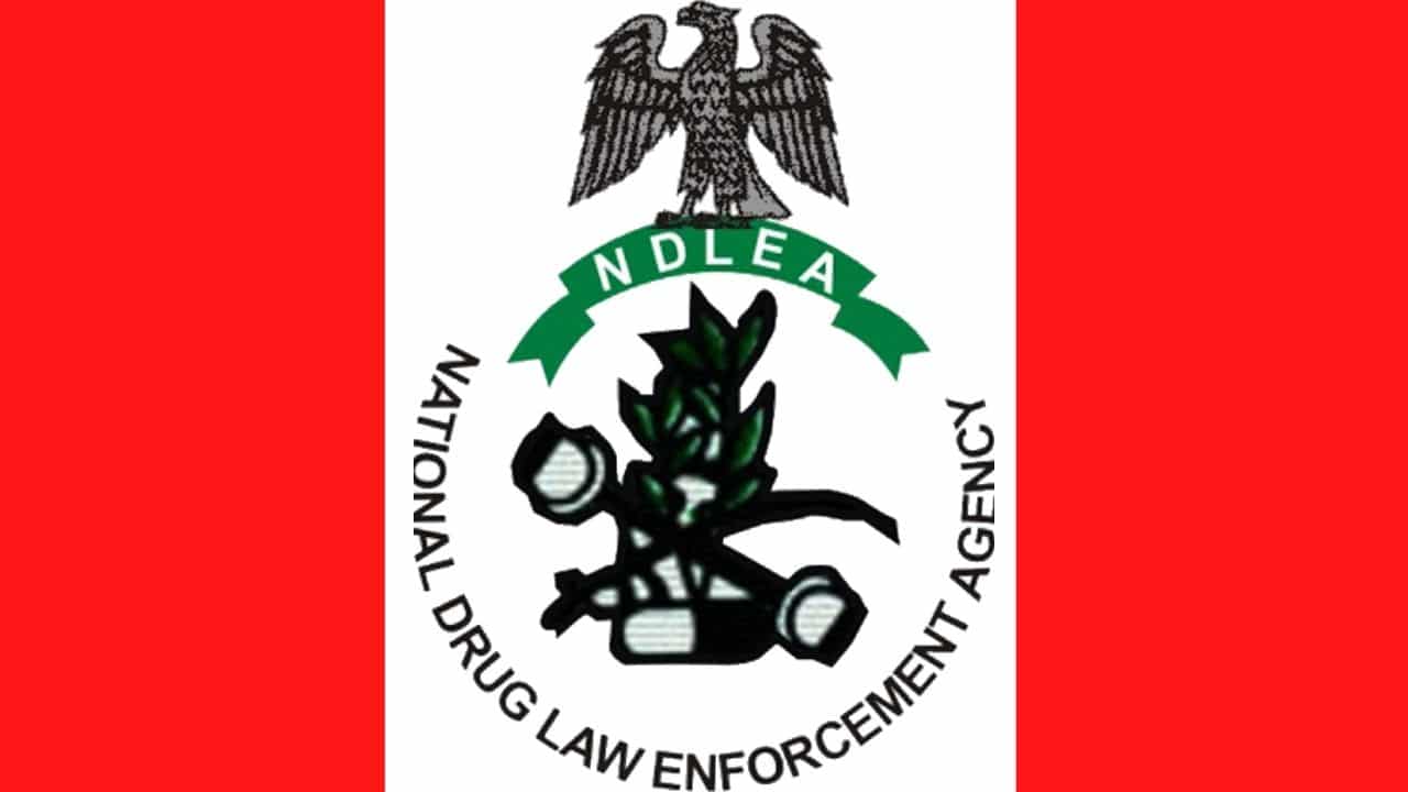 Reaction as NDLEA docked Nysun Cleaning Services employee over drug trafficking 5 NDLEA 1