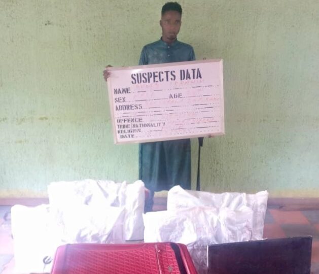 How notorious burglar Ibrahim stole 9 plasma TVs in Edo, Lagos hotels 1 plass e1657866276667 629x540 1