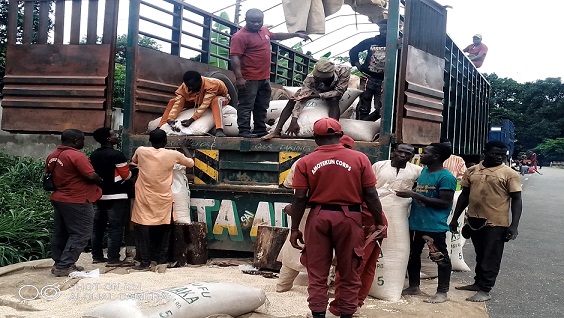 Ondo Amotekun intercepts 151 suspects with charms 9 Amotekun