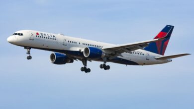 Delta airline