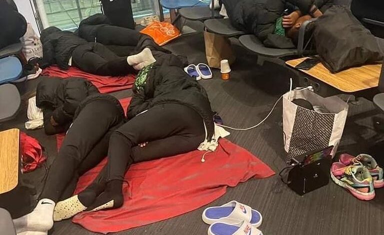 NFF: Why Falconets overstayed at Istanbul Airport 1 Falconer-instanbul-airport