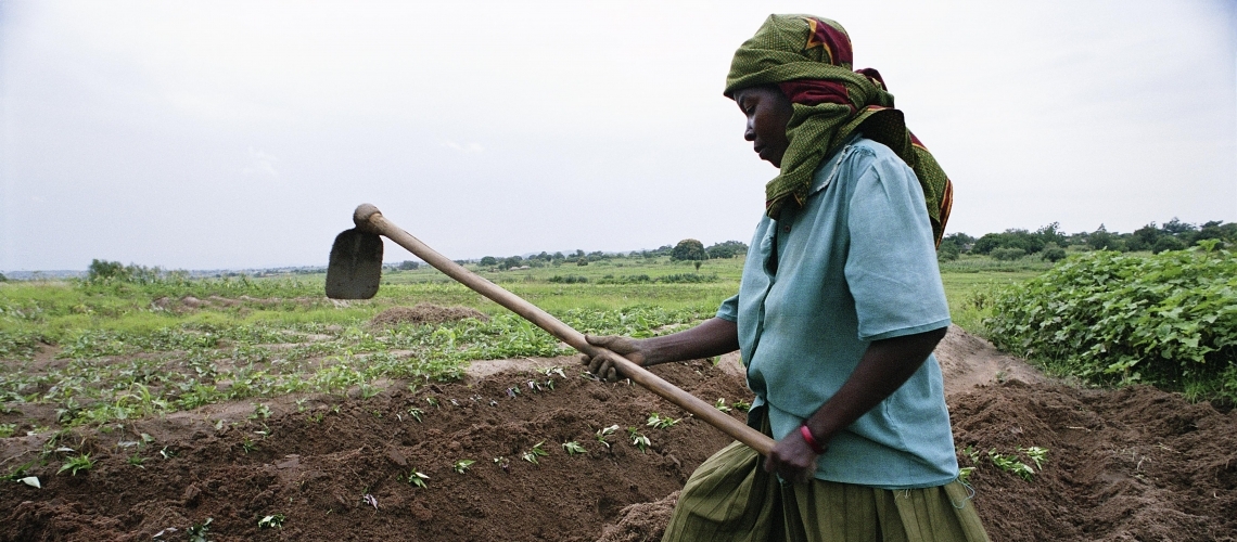 How to manage the world’s fertilizers to avoid prolonged food crisis 1 Fertilizer
