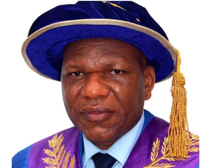 How to make our university system work, By Eyitope Ogunbodede 8 IMG 20220807 WA0004